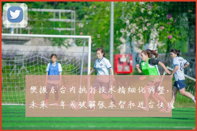 樊振东台内挑打技术精细化调整，未来一年或破解张本智和近台快攻体系